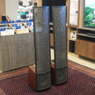 Martin Logan Montis usate