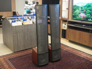 Martin Logan Montis usate