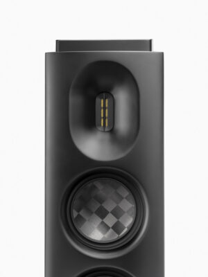 Axxess_L3_Black_Front_Tweeter+Membranes_Close